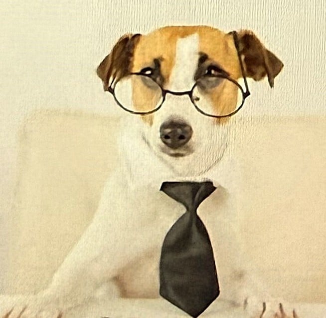 Dog wearing round glasses and a black necktie, sitting against a beige background